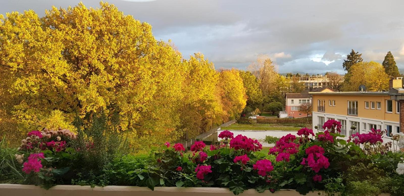 Mariaprimavera Apartment Am Kurpark Mit Schwarzwaldblick * * * * Bad Krozingen Buitenkant foto