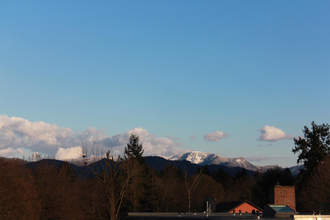 Mariaprimavera Apartment Am Kurpark Mit Schwarzwaldblick * * * * Bad Krozingen Buitenkant foto